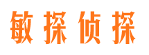 桥西市私家侦探